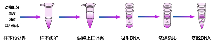 通用基因组DNA提取试剂盒
